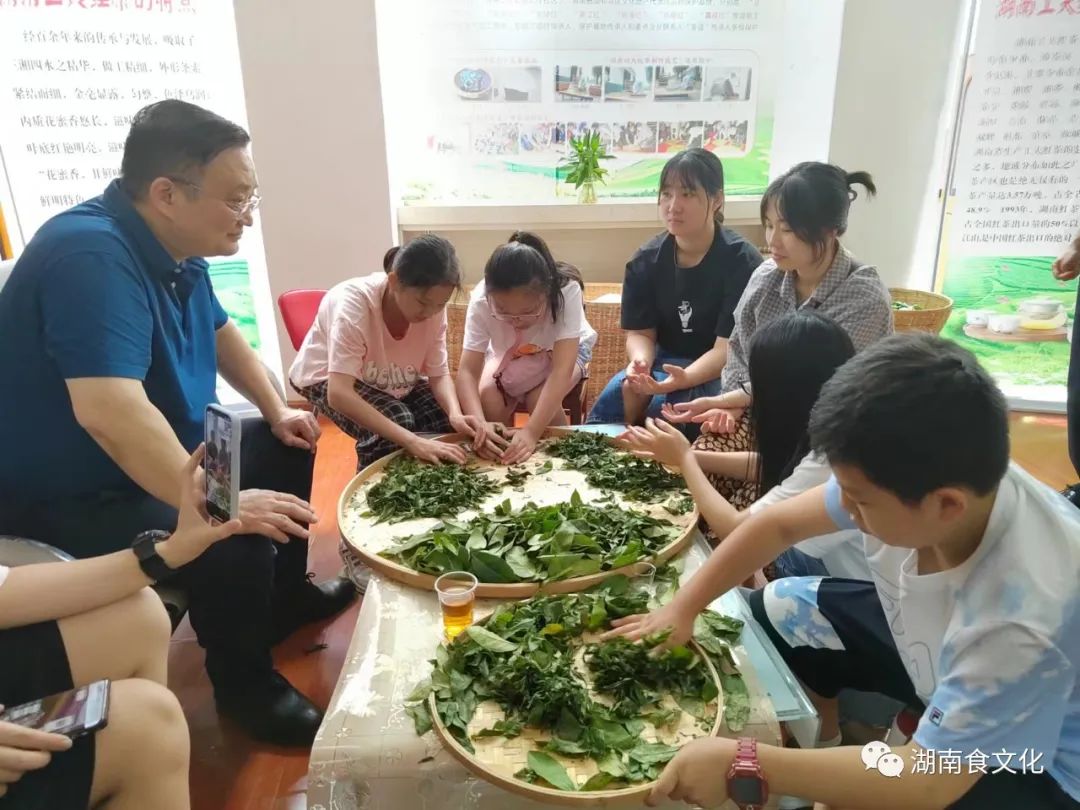 原載人民日報(bào)“人民視點(diǎn)”茶葉是怎樣做出來的？湖南大、中、小學(xué)生體驗(yàn)湖南工夫紅茶制作